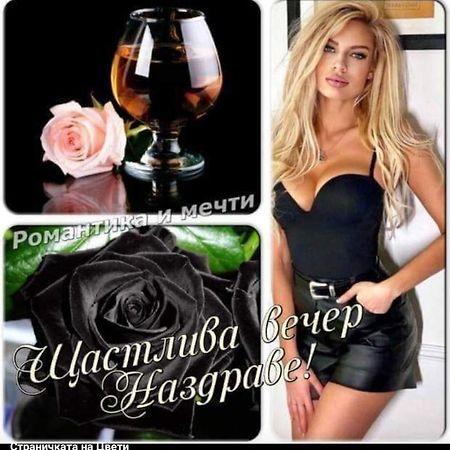 Къща За Гости "Черната Роза" Bulgarevo Ngoại thất bức ảnh